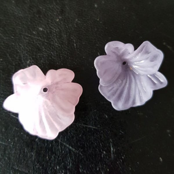 15 Fiori N&deg;01 assortiti