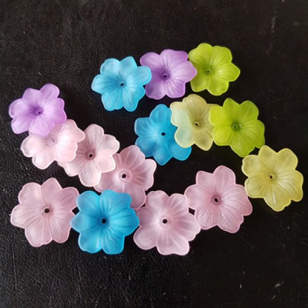 15 Fiori N&deg;02 assortiti