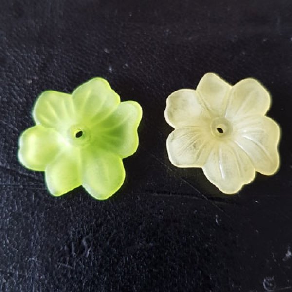 15 Fiori N&deg;02 assortiti