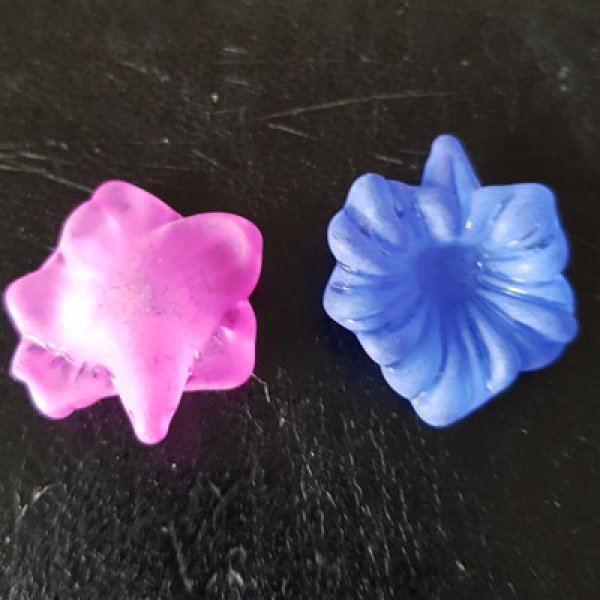 15 Fiori di orchidea assortiti