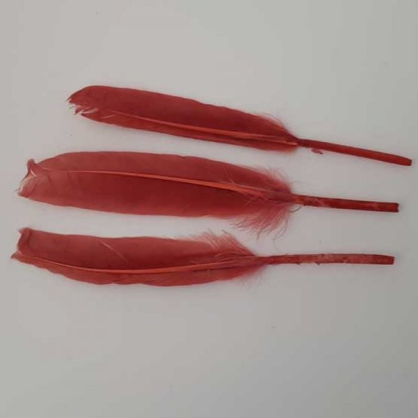 3 Plumes 15 cm N&deg;01 Rouge