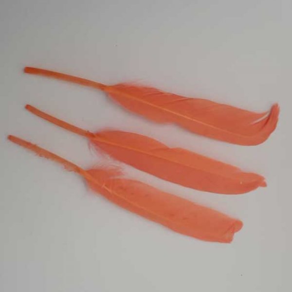 3 Plumes 15 cm N&deg;01 Saumon