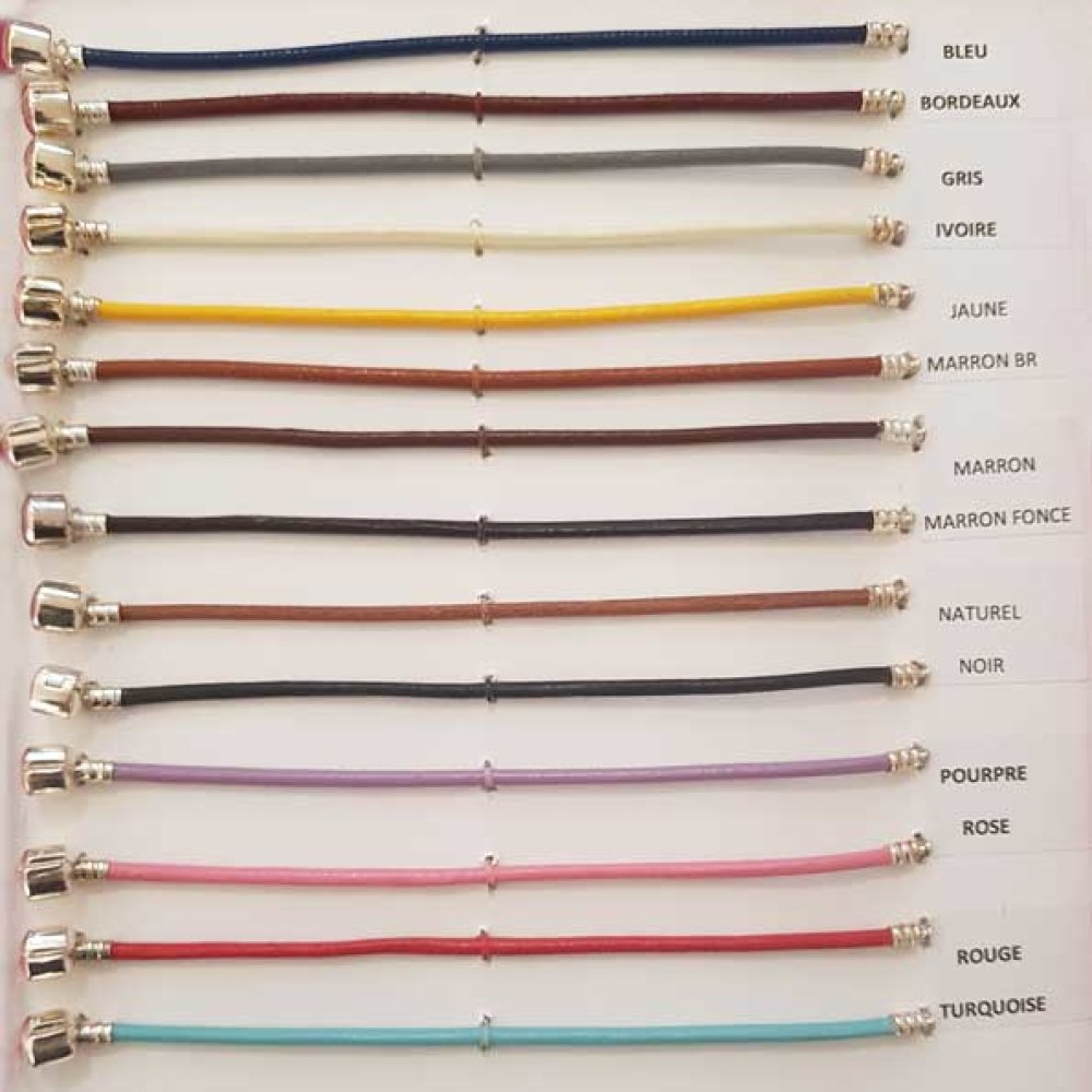 Bracciale europeo a clip tinta unita 01 DA 15 A 23 CM Blu