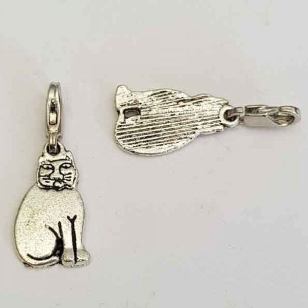 Fascino gatto N&deg;10