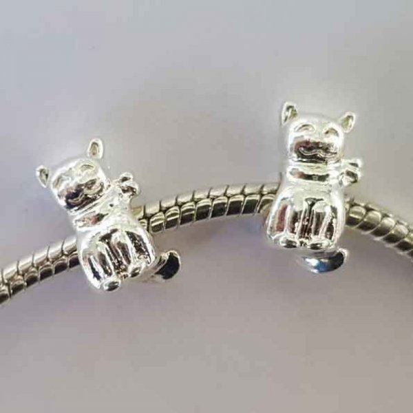 Charm per gatti N&deg;12 x 50