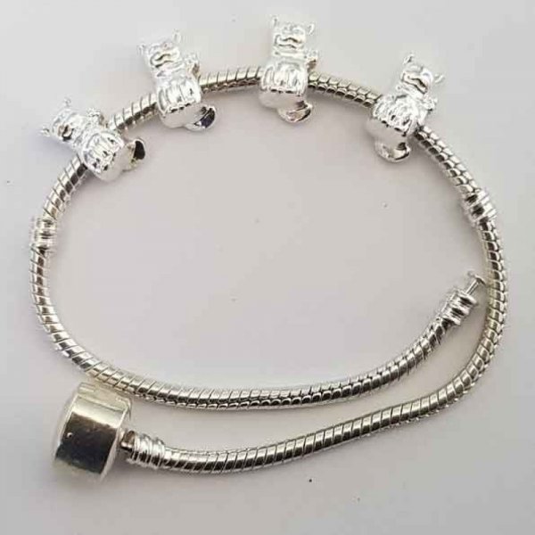 Charm per gatti N&deg;12 x 50