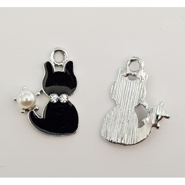 Fascino gatto N&deg;13