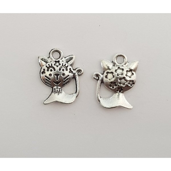 Fascino gatto N&deg;15