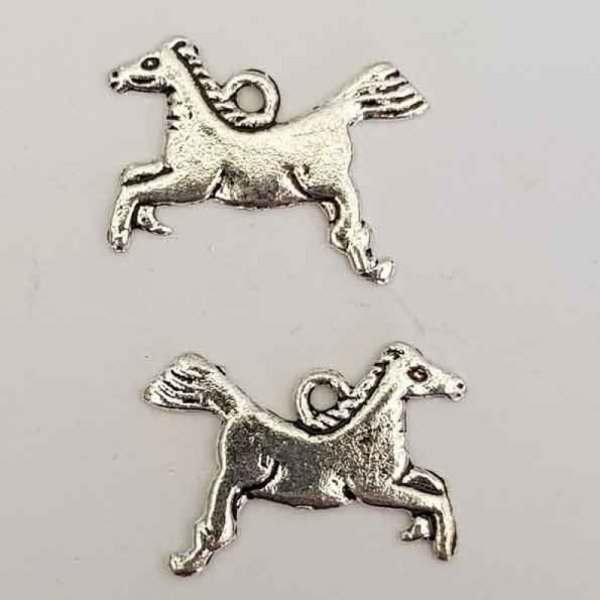 Fascino del cavallo N&deg;02