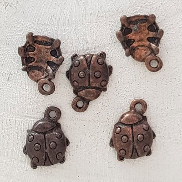 Fascino per scarabeo N&deg;02