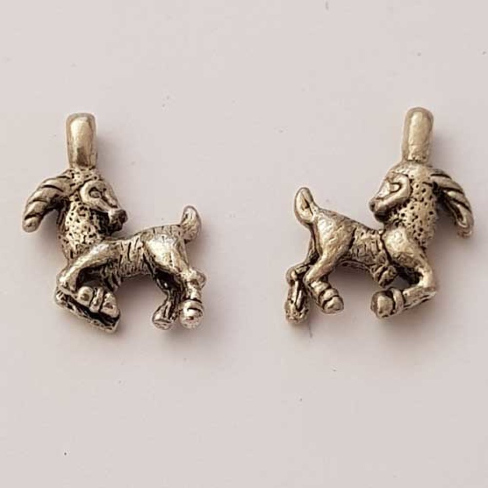 Ciondolo segno zodiacale Capricorno Argento Metallo N°01