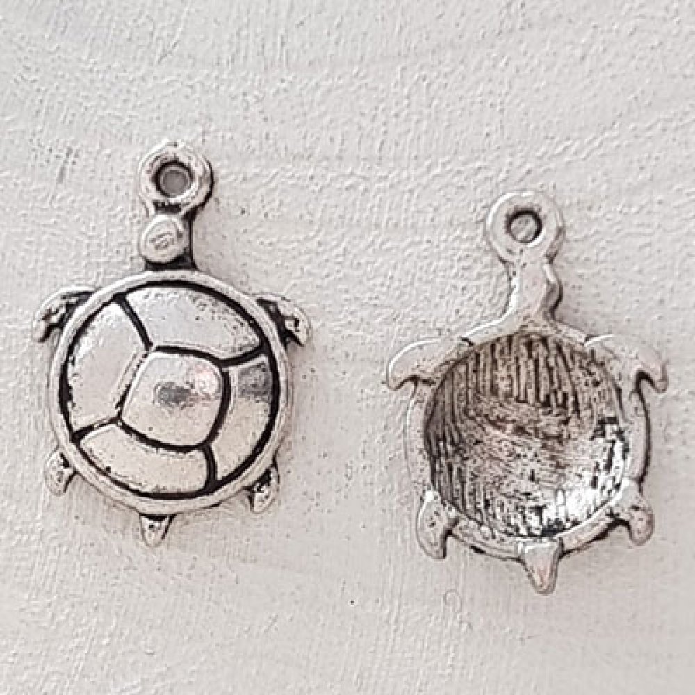 Fascino di tartaruga N°04