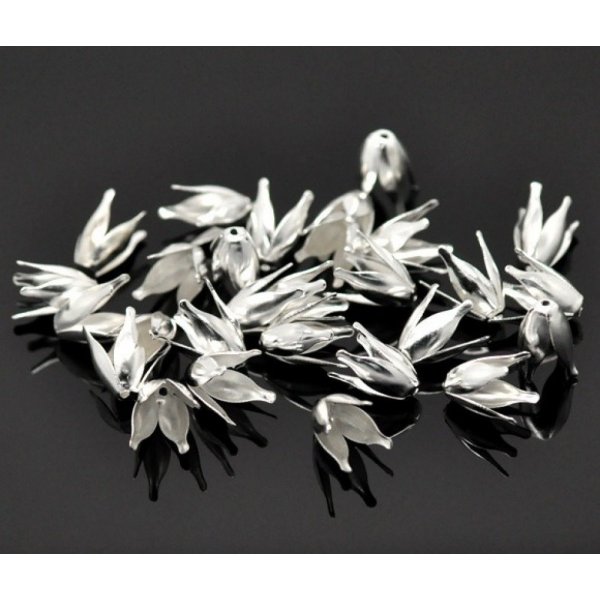 Ciotola in lega di ferro Fiore d'argento x 200