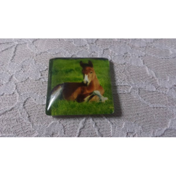 cabochon quadrato in vetro 30 mm 028 