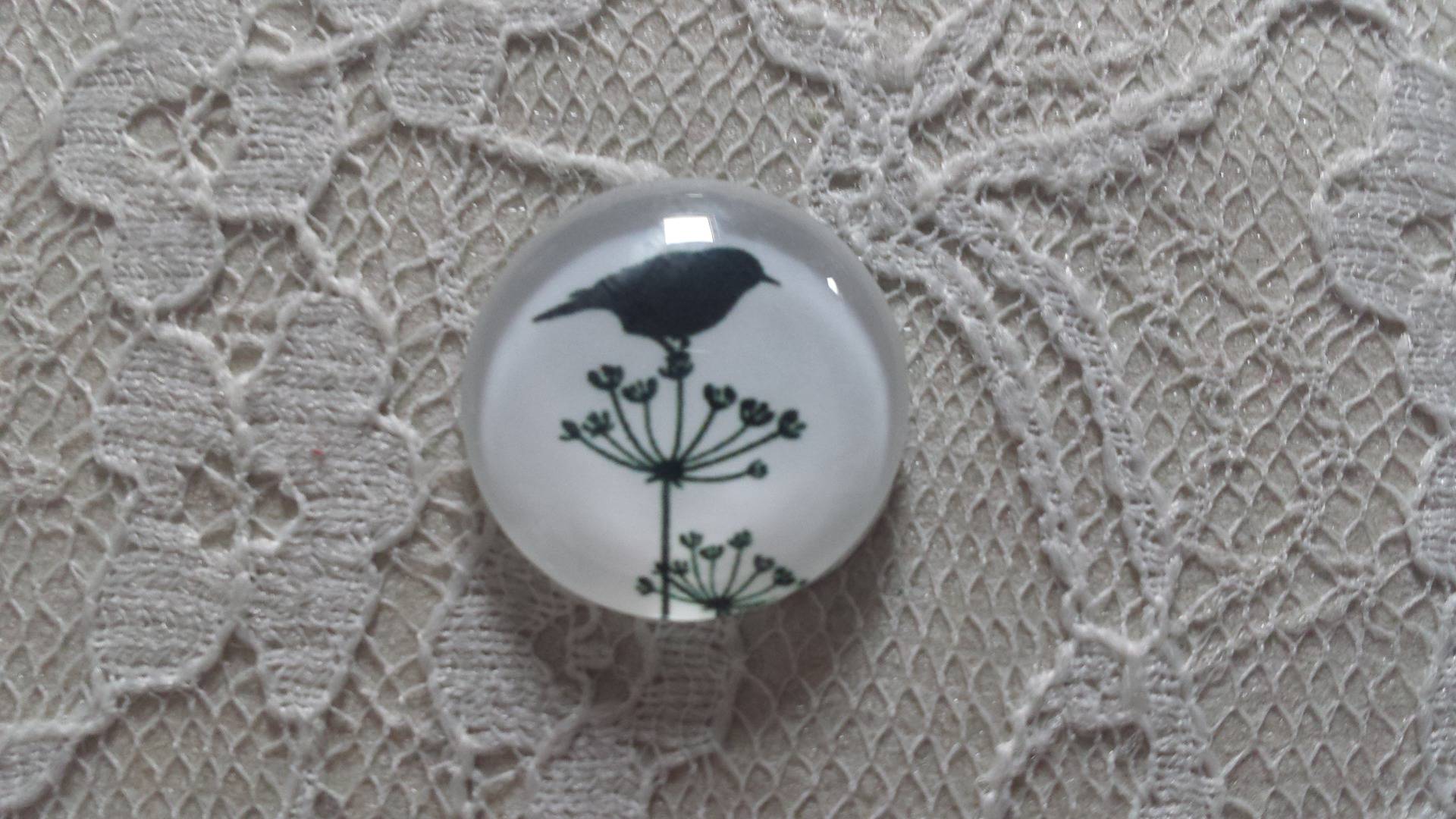 cabochon in vetro rotondo 20mm uccelli 019 