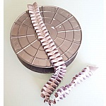 Nastro fantasia N°059 al metro