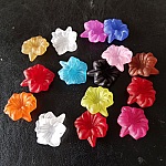 15 Fiori di orchidea assortiti