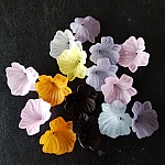 15 Fiori N°01 assortiti