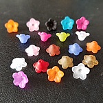 20 Fiori di nontiscordardime assortiti