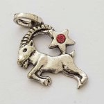 Ciondolo segno zodiacale Capricorno in argento placcato N°03 con strass