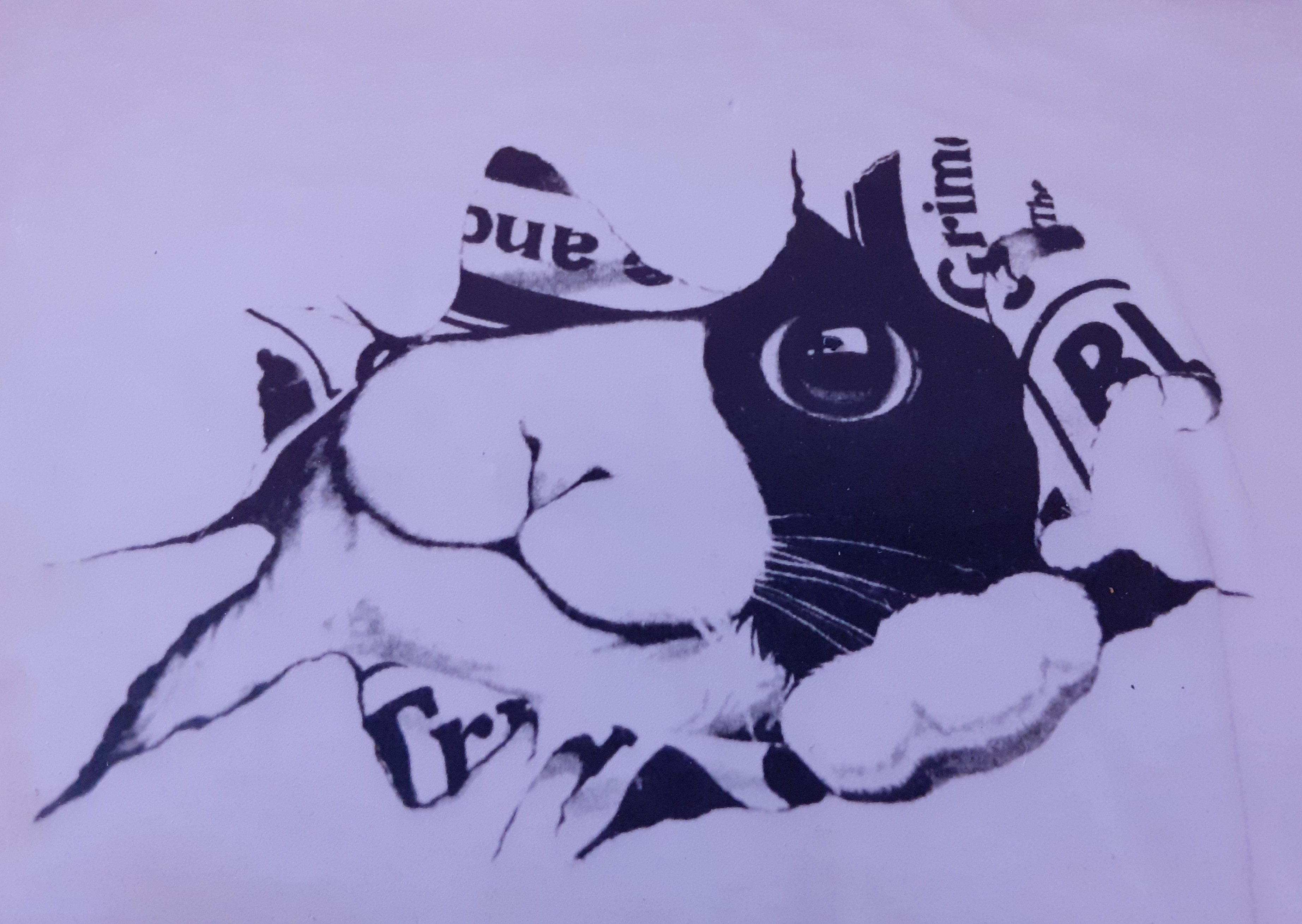 Une photo, votre &eacute;ventail, celui l&agrave; est en soie