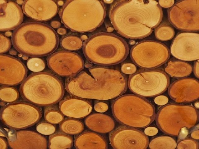 Appendiabiti da parete rettangolare in tronchi di legno color miele con 1 gancio per cappotto e anello portachiavi 30x20 cm